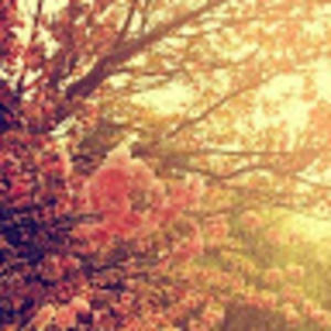 Meet your Posher, Jahaira